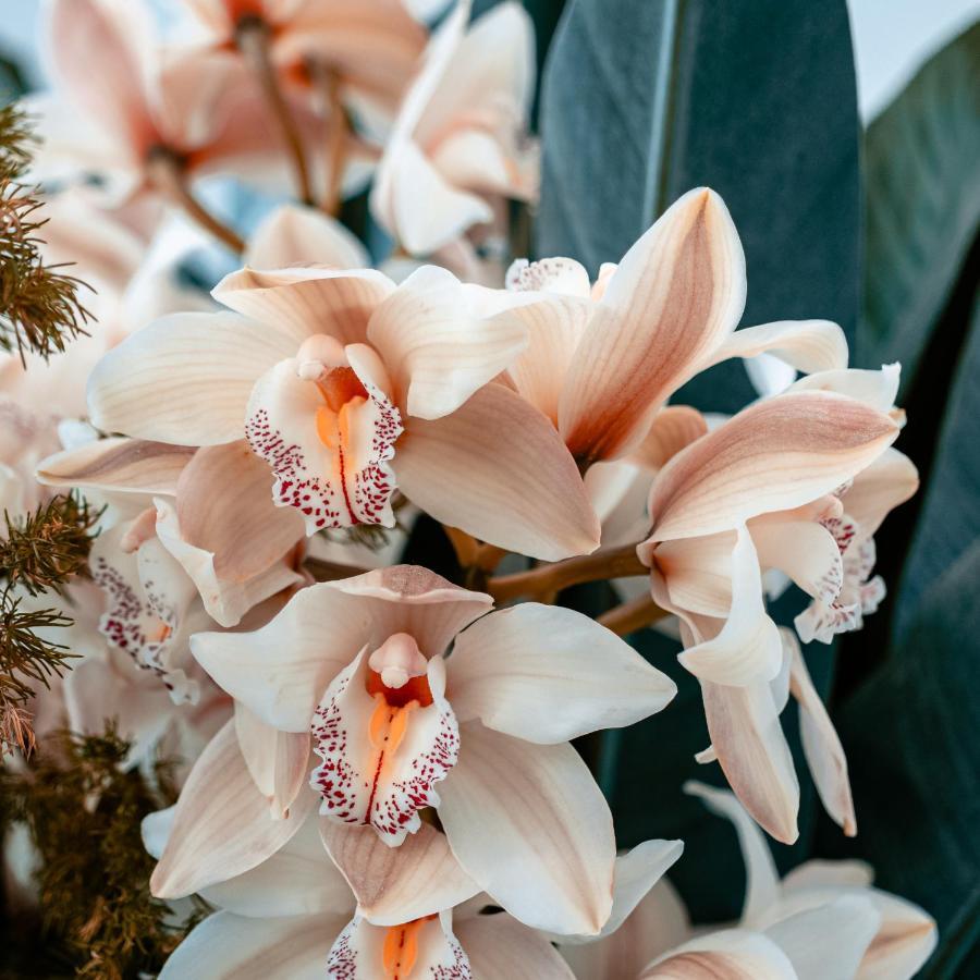 Villa Orchid Garden Riverside Хой Ан Екстериор снимка